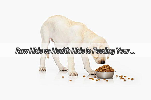 Raw Hide vs Health Hide Is Feeding Your Dog Raw Beef Tendons Safe and Beneficial